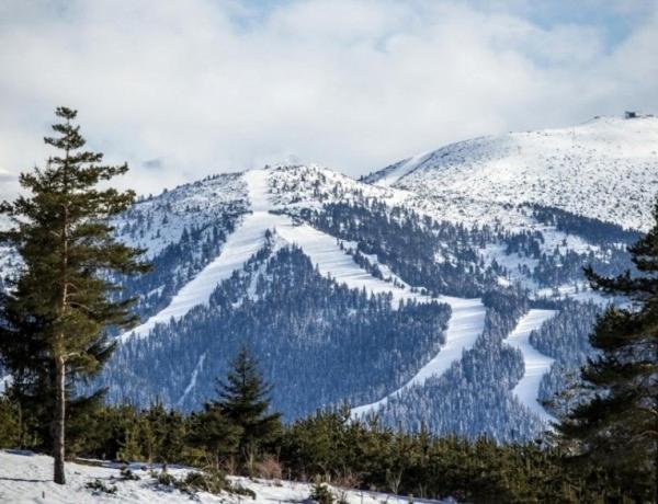 Cozy Studio In Semiramida Gardens - Borovets Hills 39 Lägenhet Exteriör bild