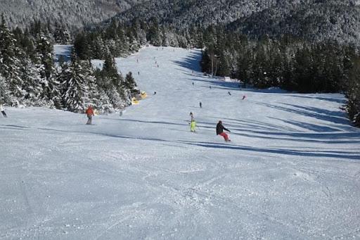 Cozy Studio In Semiramida Gardens - Borovets Hills 39 Lägenhet Exteriör bild